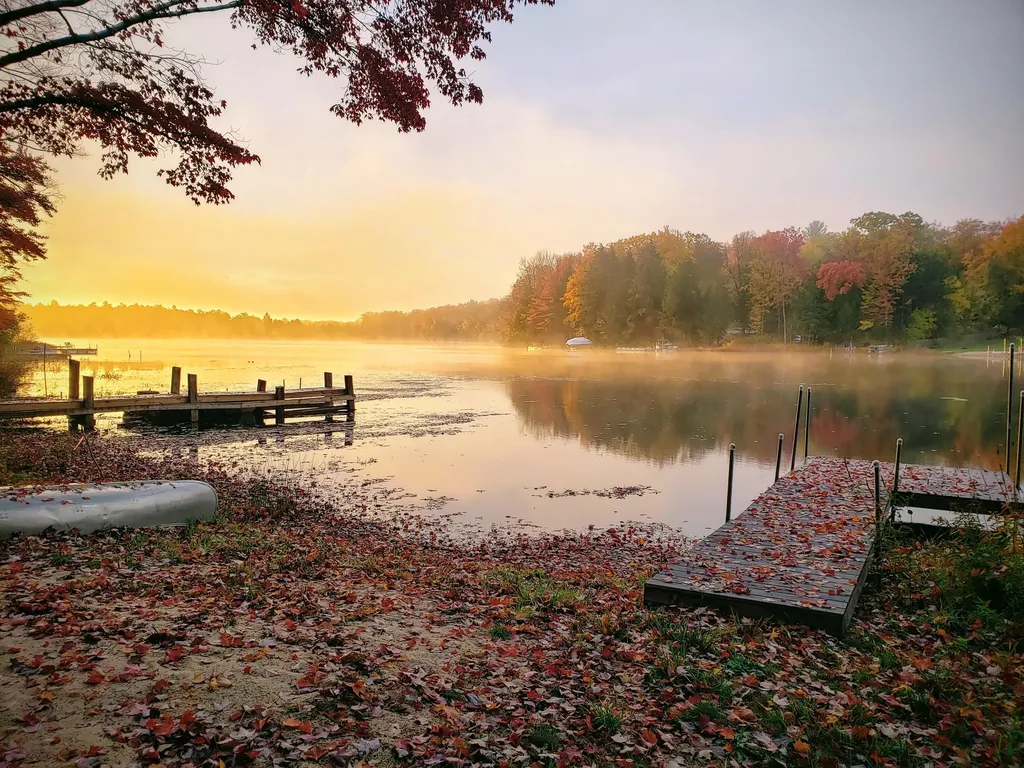 20308 Lakeview Drive Burdell Township MI 49688
