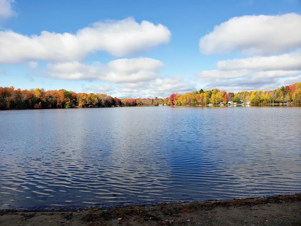 20308 Lakeview Drive Burdell Township MI 49688