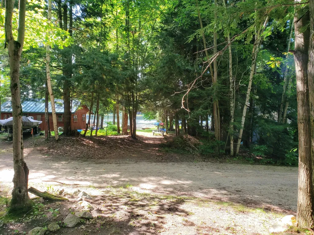 20308 Lakeview Drive Burdell Township MI 49688