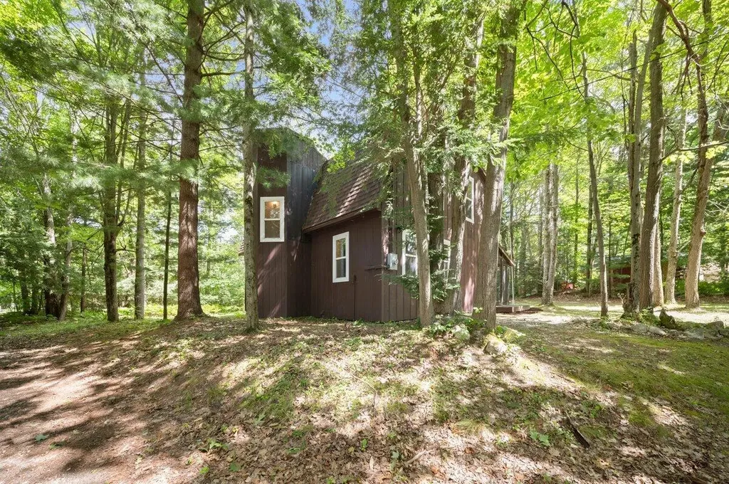 20308 Lakeview Drive Burdell Township MI 49688