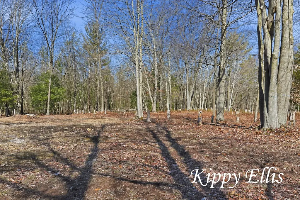 2860 Fenner Road Laketon Township MI 49445