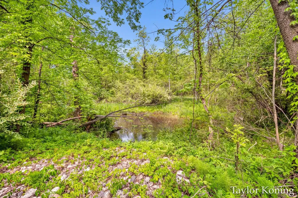 3111 N 128th Avenue Elbridge Township MI 49420
