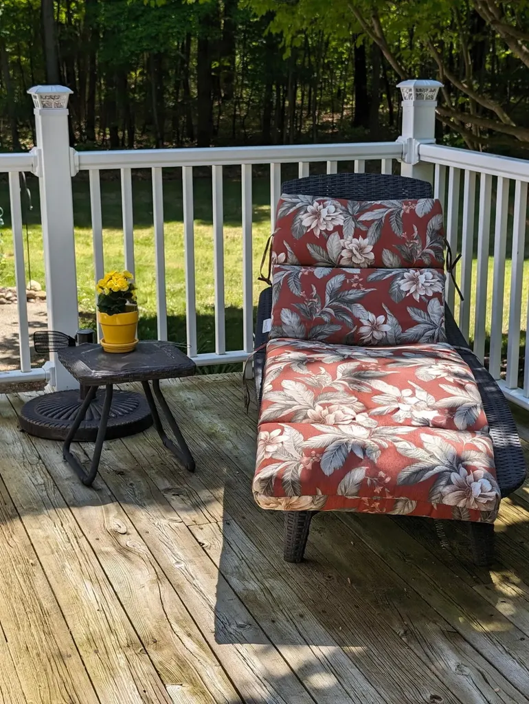 2902 63rd Street Saugatuck Township MI 49408