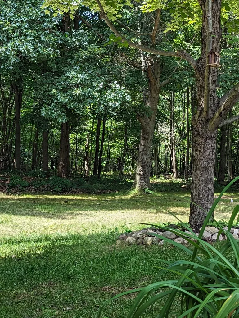 2902 63rd Street Saugatuck Township MI 49408
