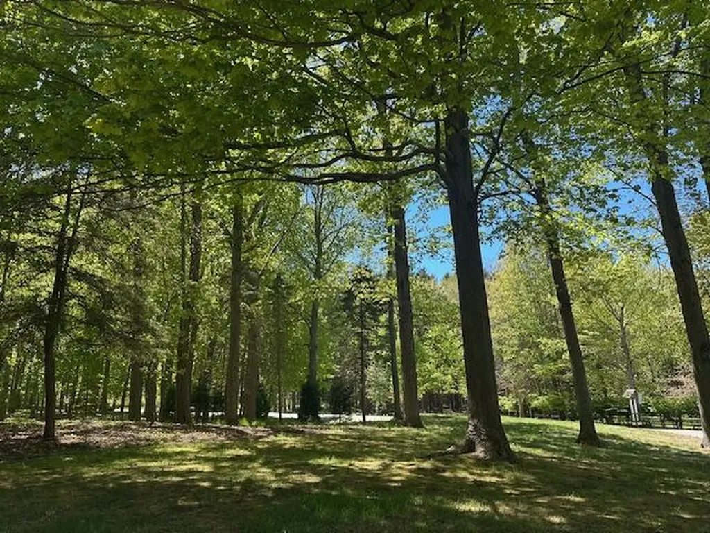 2095 Lakeshore Drive Ganges Township MI 49408
