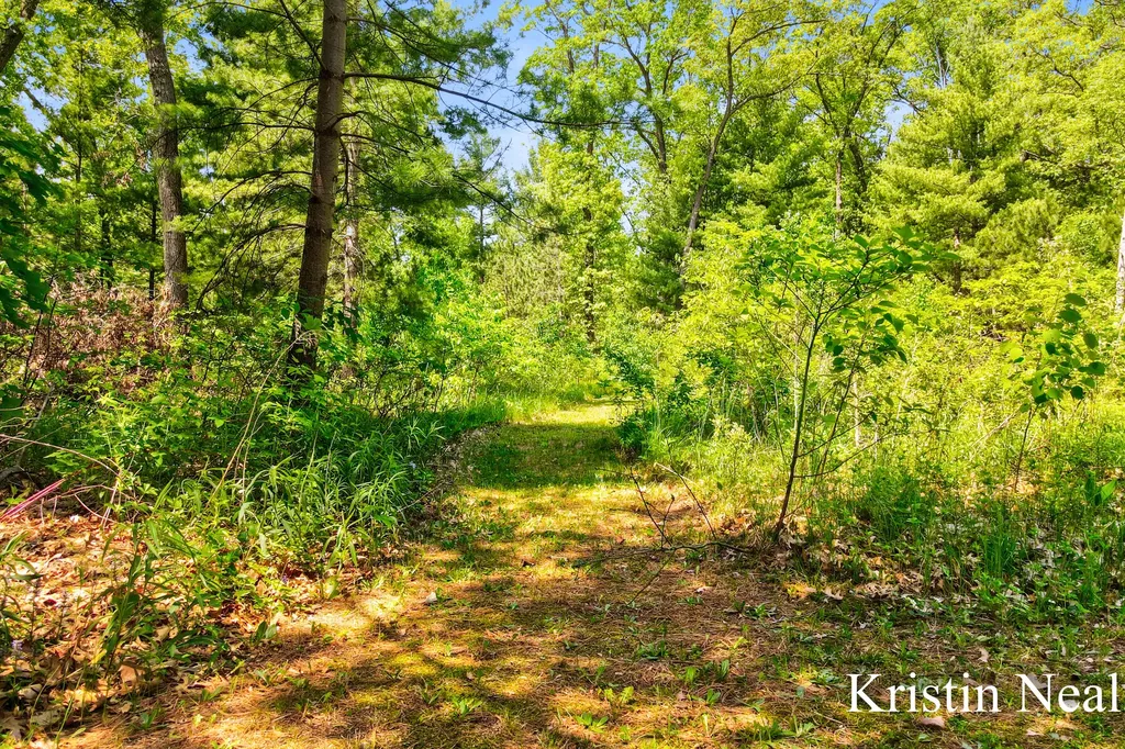 673 S Wolf Lake Road Egelston Township MI 49442