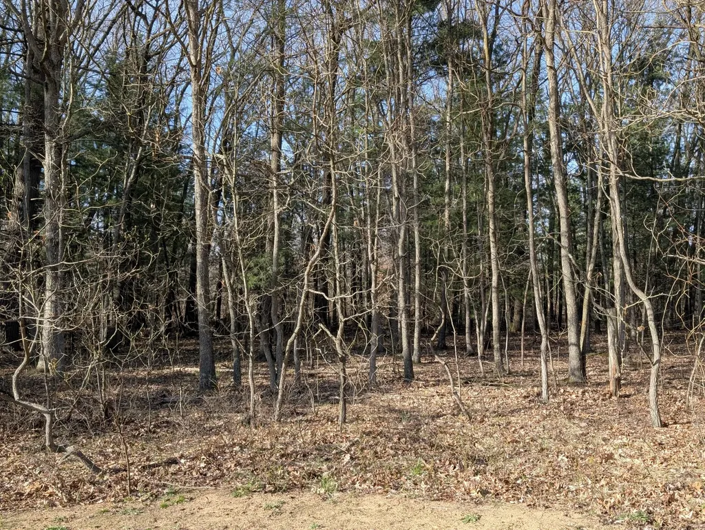 2032 S Mill Iron Road Muskegon Charter Township MI 49442