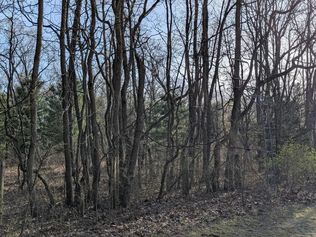 2032 S Mill Iron Road Muskegon Charter Township MI 49442