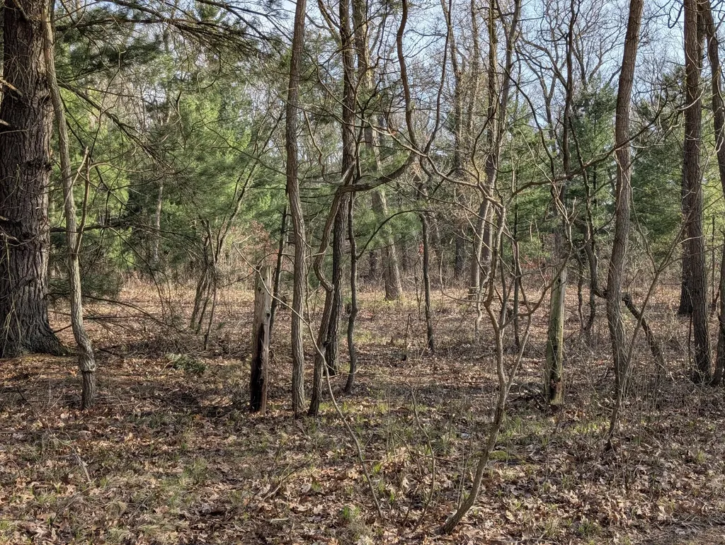 2032 S Mill Iron Road Muskegon Charter Township MI 49442