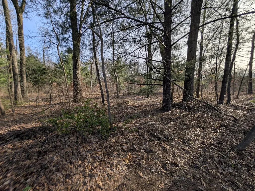 2032 S Mill Iron Road Muskegon Charter Township MI 49442