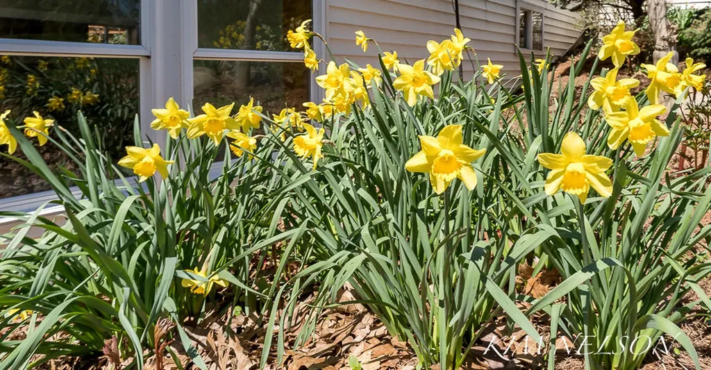8937 S Indian Hills Road Claybanks Township MI 49437