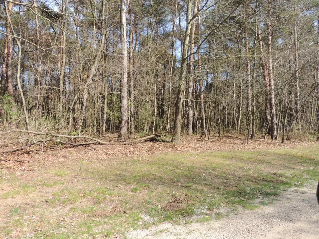 6342 Old Allegan Road Saugatuck Township MI 49453