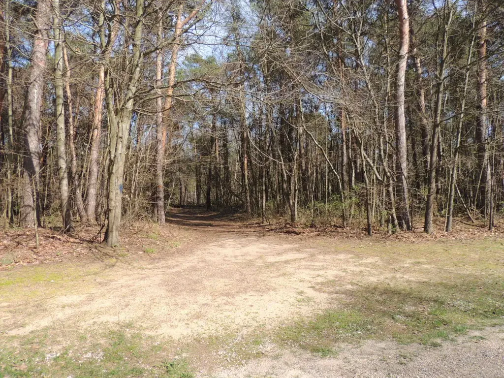 6342 Old Allegan Road Saugatuck Township MI 49453
