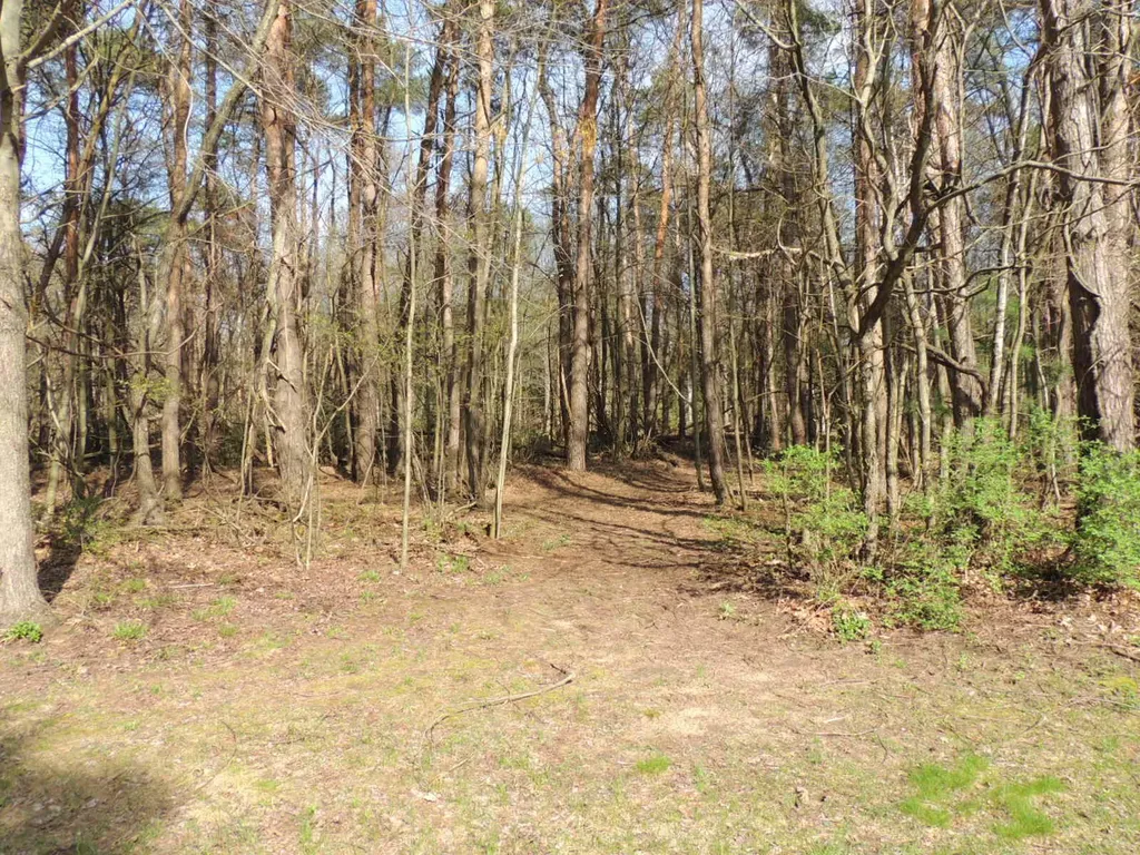 6342 Old Allegan Road Saugatuck Township MI 49453