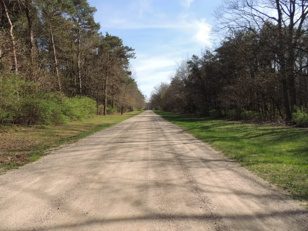 6342 Old Allegan Road Saugatuck Township MI 49453