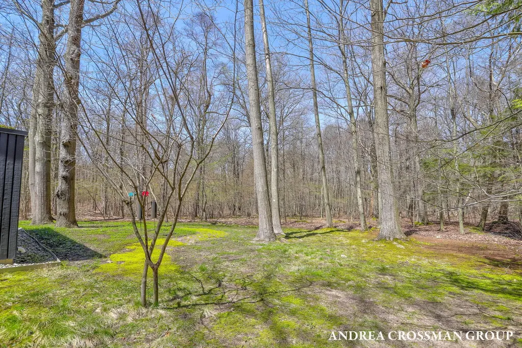 6919 Bendemeer Drive Saugatuck Township MI 49408