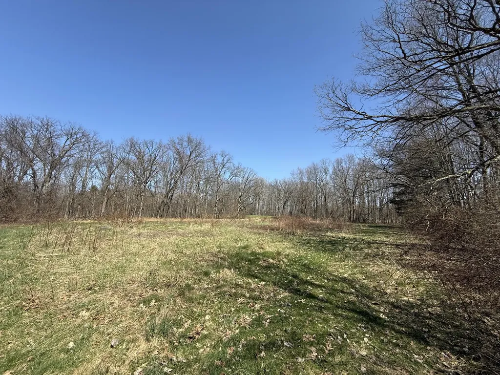 5747 W B Avenue Alamo Township MI 49080