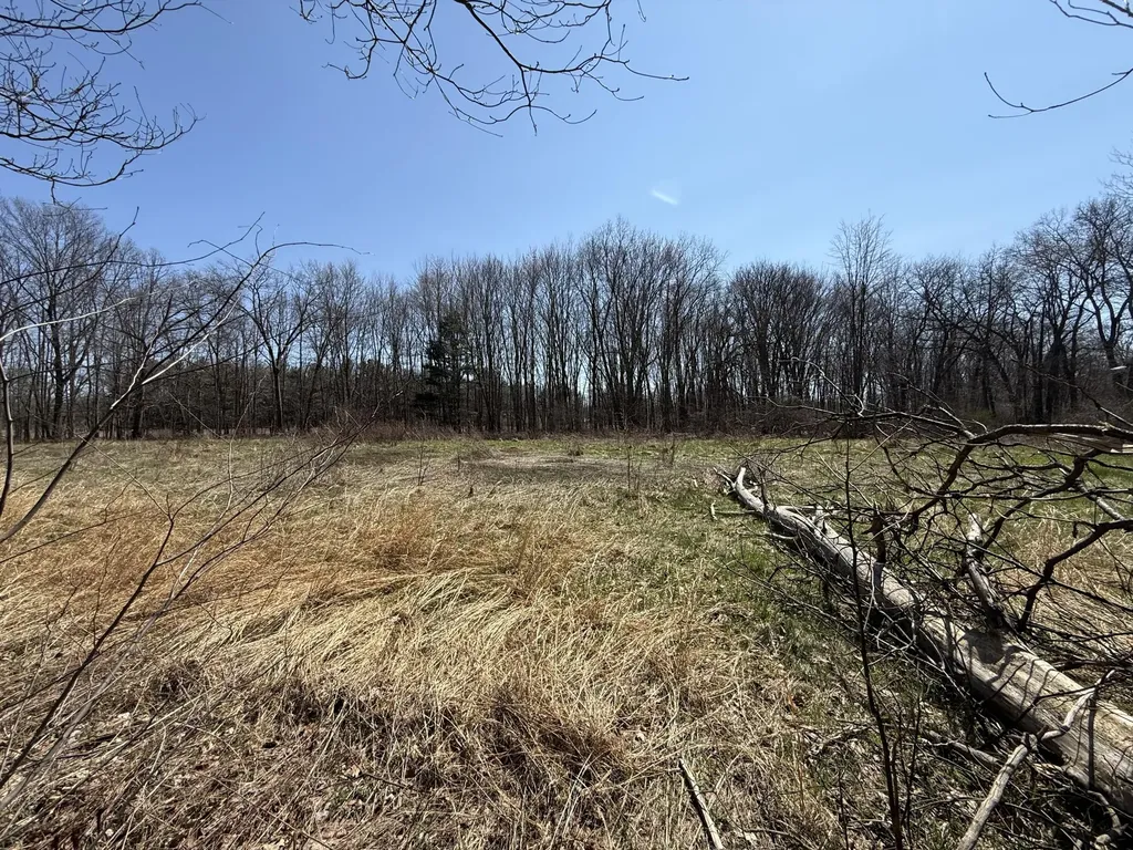 5747 W B Avenue Alamo Township MI 49080