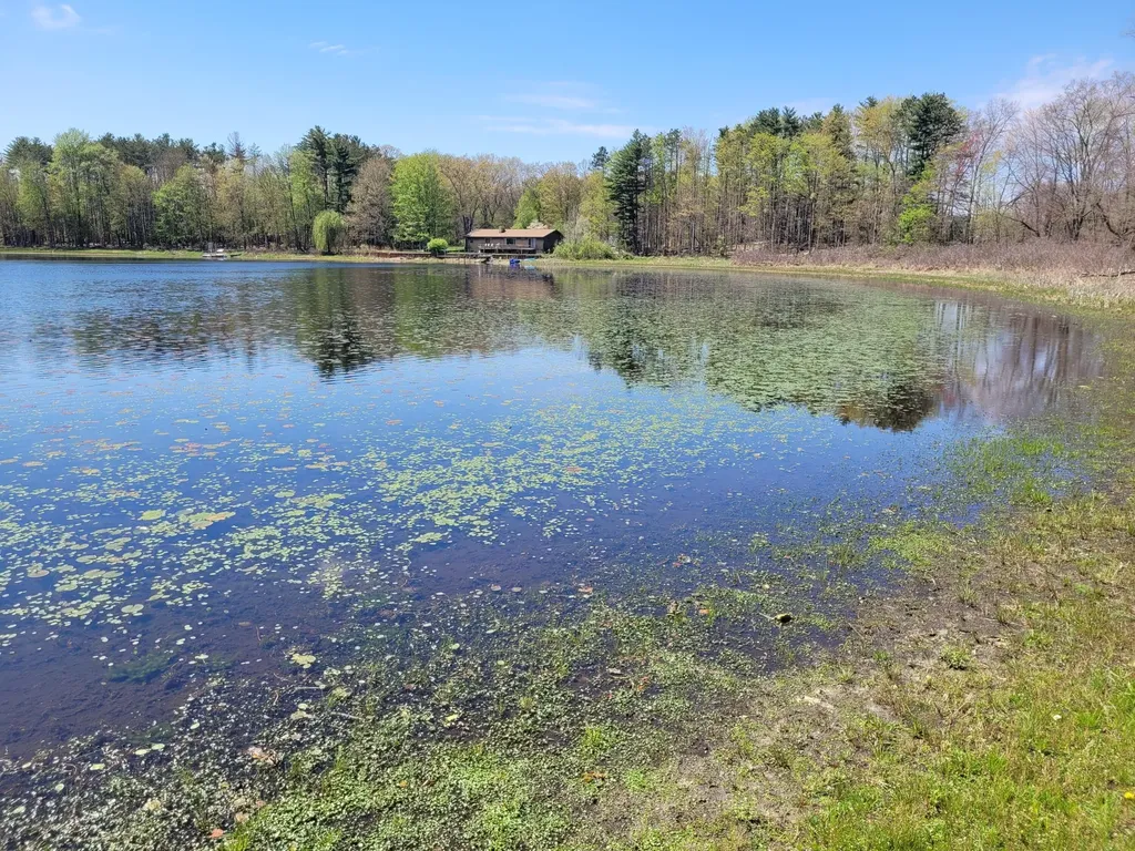 31421 County Road 388 Pine Grove Township MI 49055