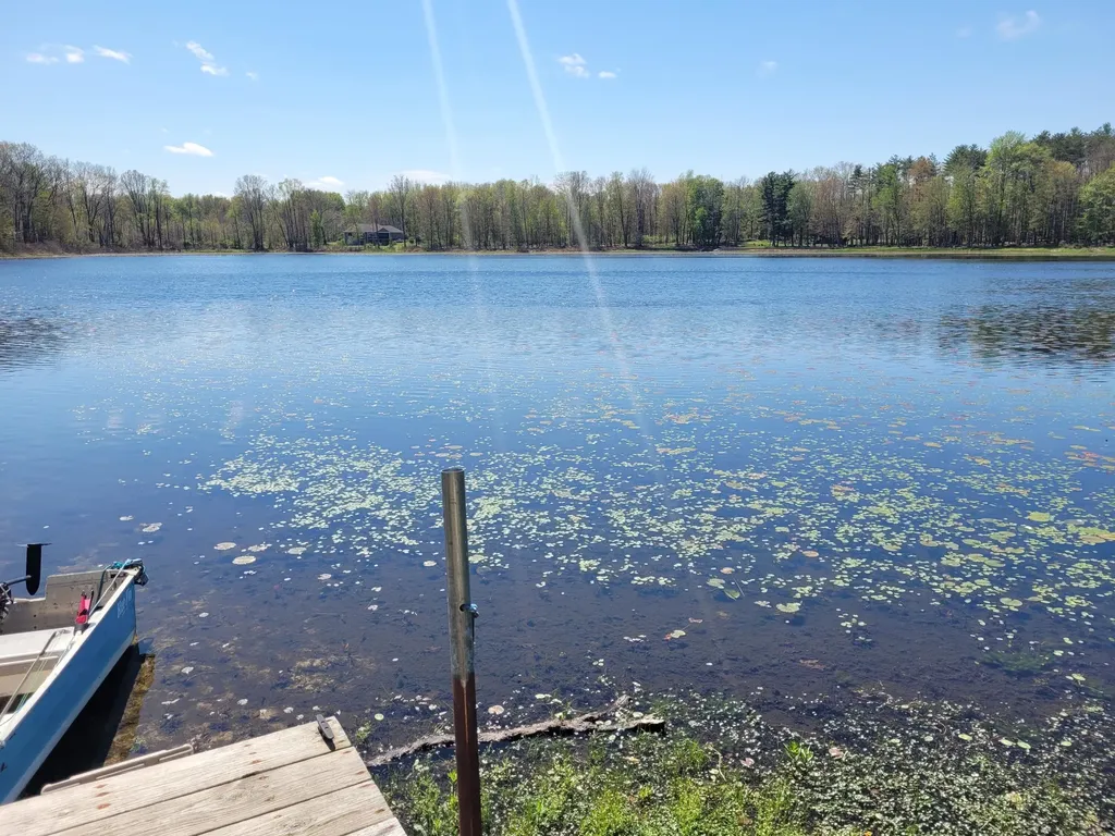 31421 County Road 388 Pine Grove Township MI 49055