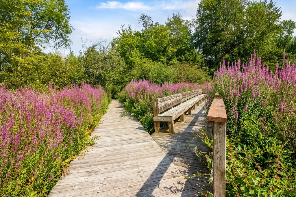 3583 Cattail Court Saugatuck Township MI 49453