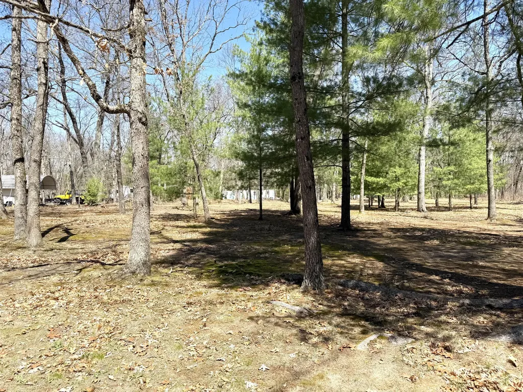 11881 S Winesap Road Lake Township MI 49304