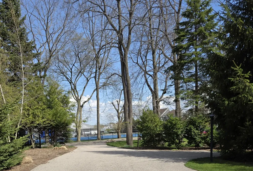 16 Park Street Saugatuck City MI 49453