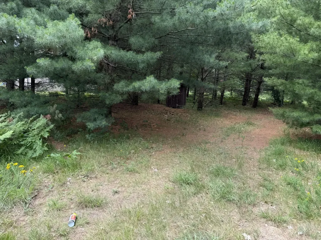 5286 N Twin Creek Road Newkirk Township MI 49656