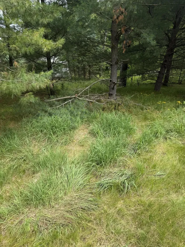 5286 N Twin Creek Road Newkirk Township MI 49656