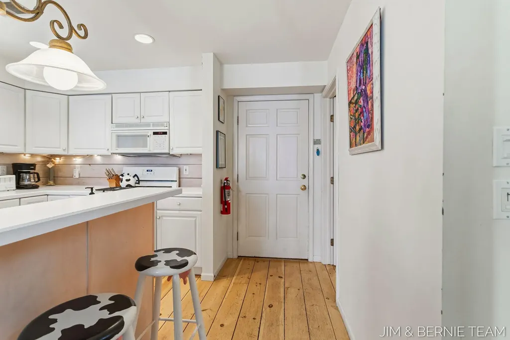 133 Mason Street Saugatuck City MI 49453
