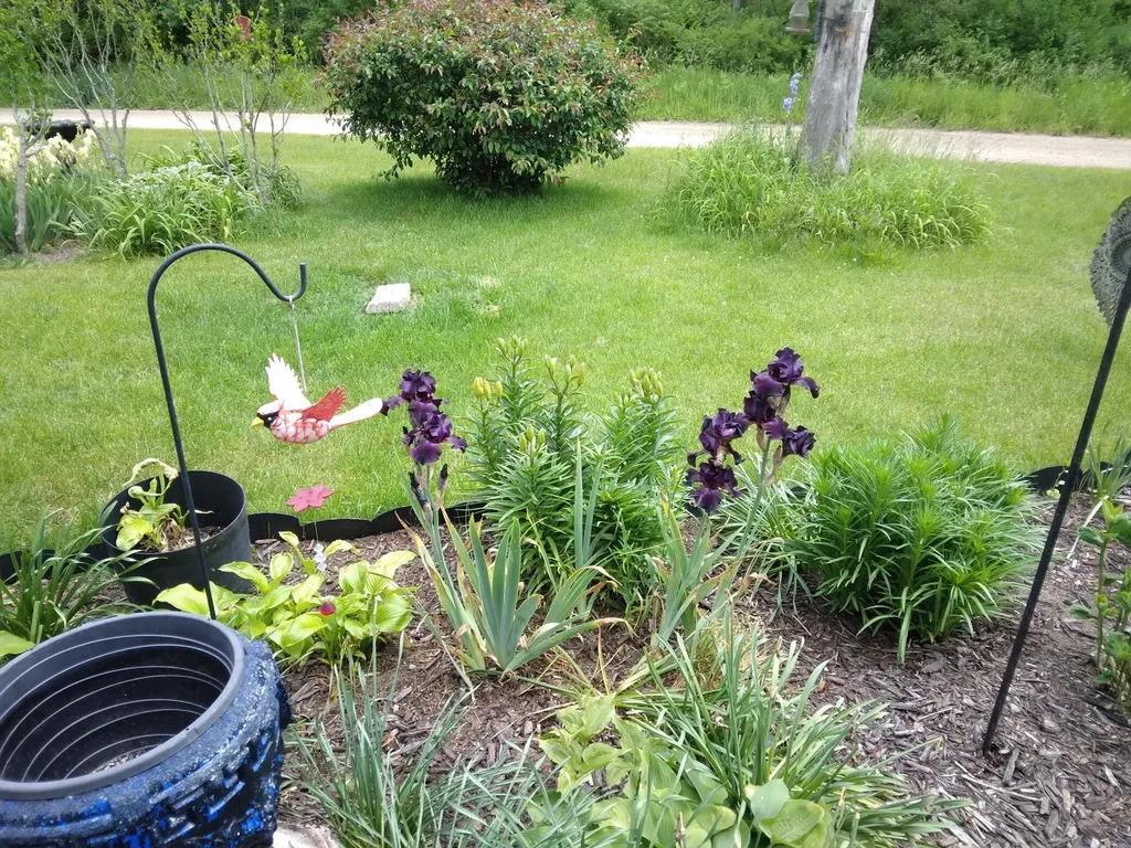 14 S 5th Street Hinton Township MI 49336