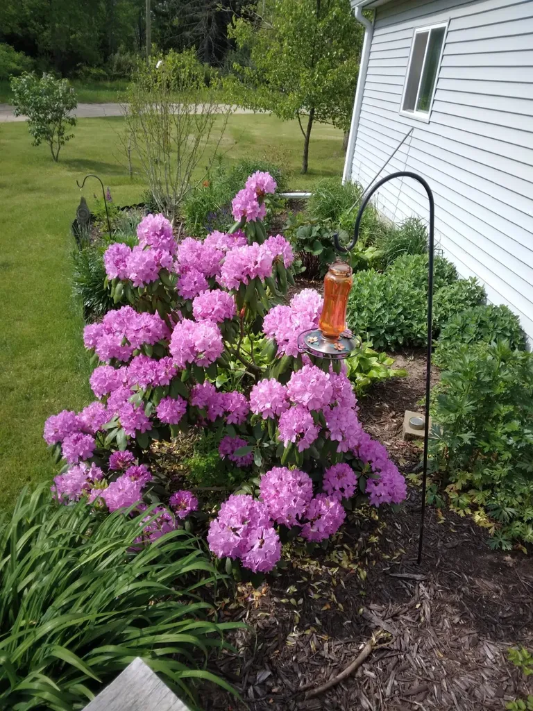 14 S 5th Street Hinton Township MI 49336