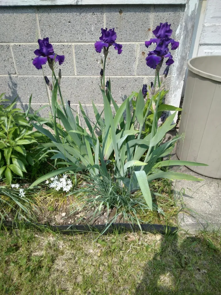 14 S 5th Street Hinton Township MI 49336