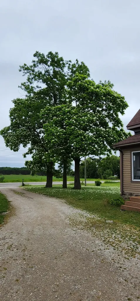 5818 Us Highway 31 Sherman Township MI 49411