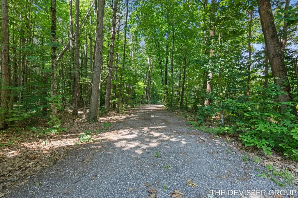 5837 Timber Bluff Trail Manlius Township MI 49408