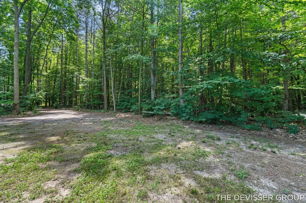 5837 Timber Bluff Trail Manlius Township MI 49408
