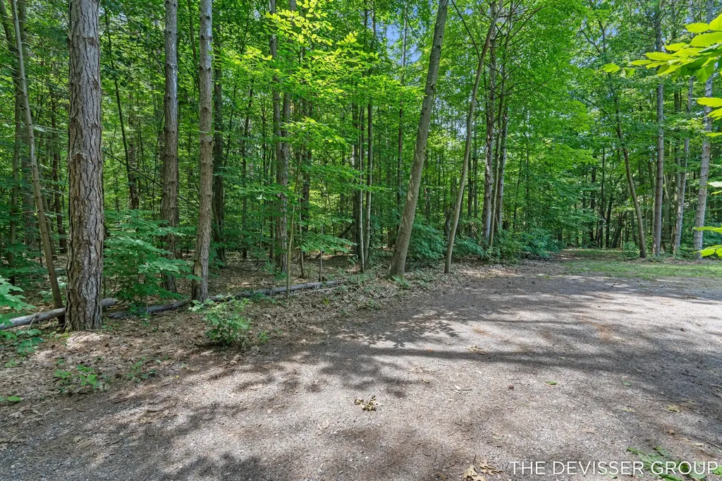 5837 Timber Bluff Trail Manlius Township MI 49408