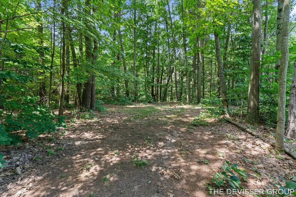 5837 Timber Bluff Trail Manlius Township MI 49408