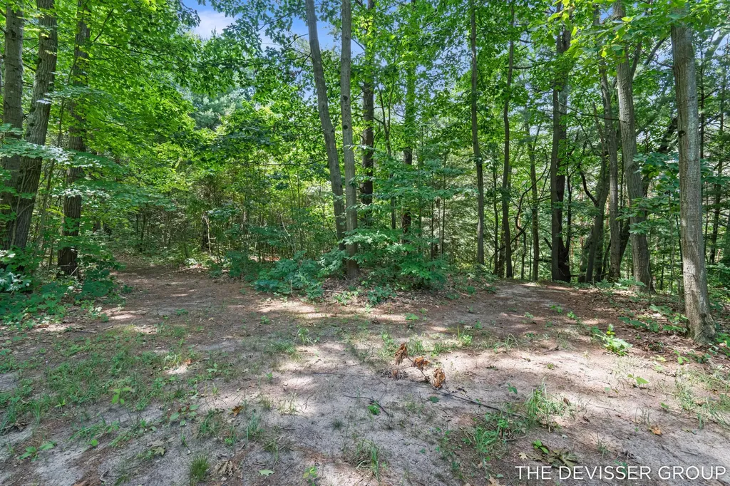 5837 Timber Bluff Trail Manlius Township MI 49408