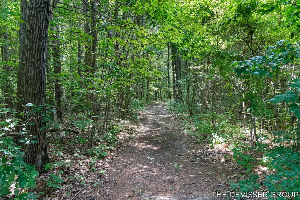 5837 Timber Bluff Trail Manlius Township MI 49408