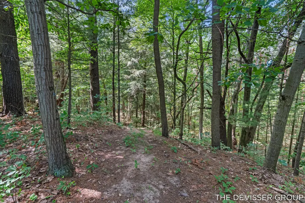 5837 Timber Bluff Trail Manlius Township MI 49408