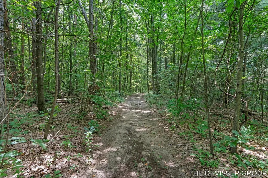 5837 Timber Bluff Trail Manlius Township MI 49408