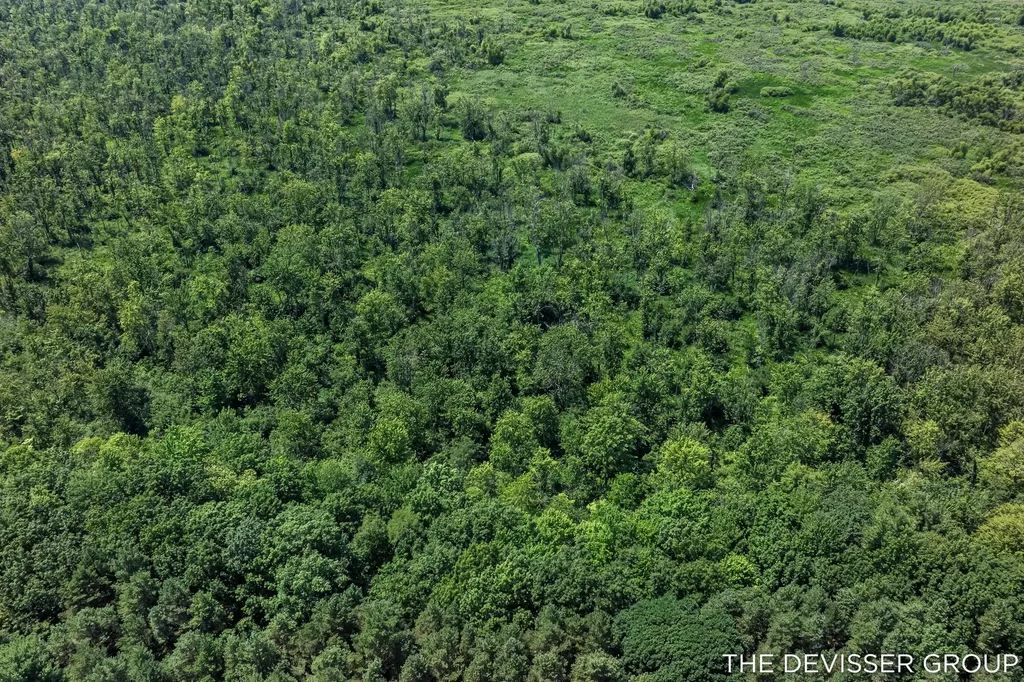5837 Timber Bluff Trail Manlius Township MI 49408
