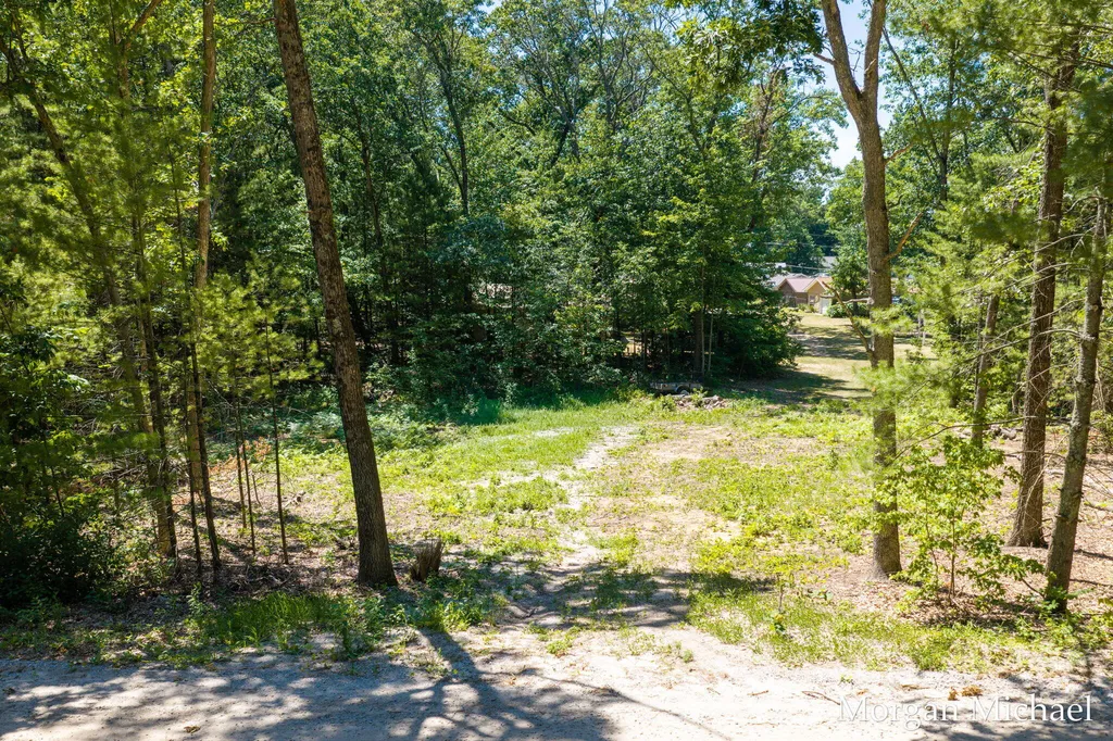8750 S Spruce Avenue Brooks Township MI 49337