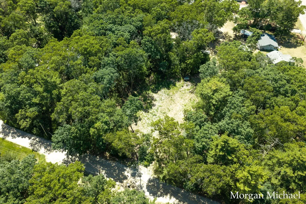 8750 S Spruce Avenue Brooks Township MI 49337