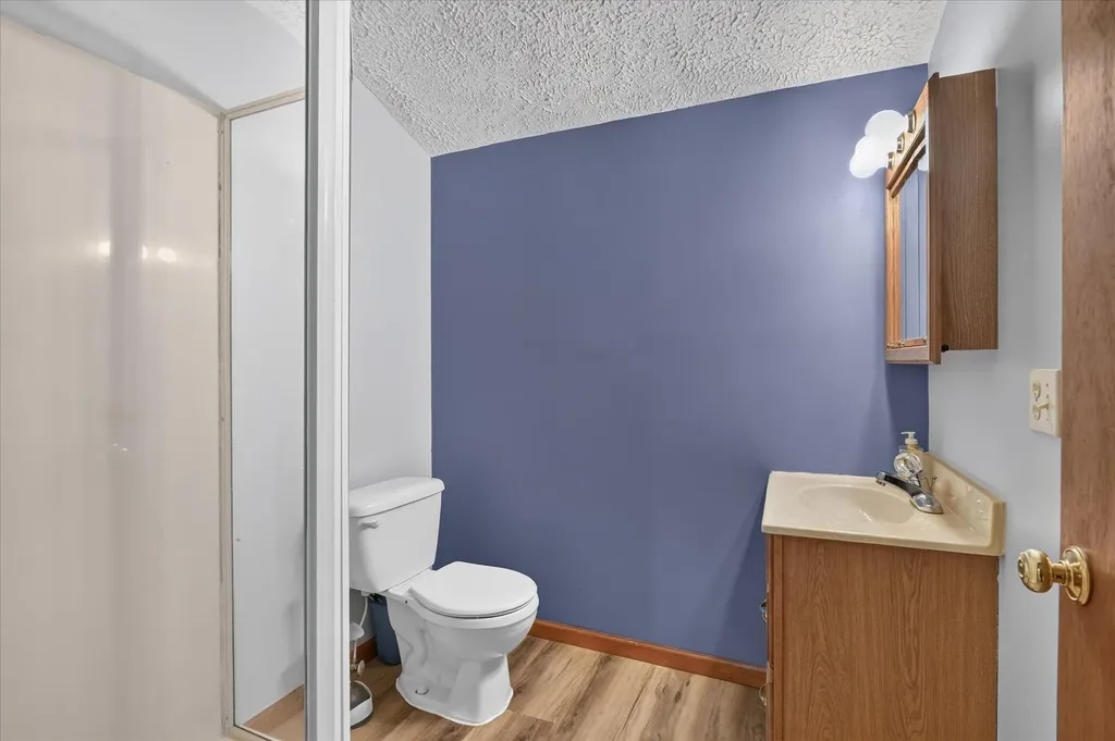 16658 Eunice Street Bath Charter Township MI 48823