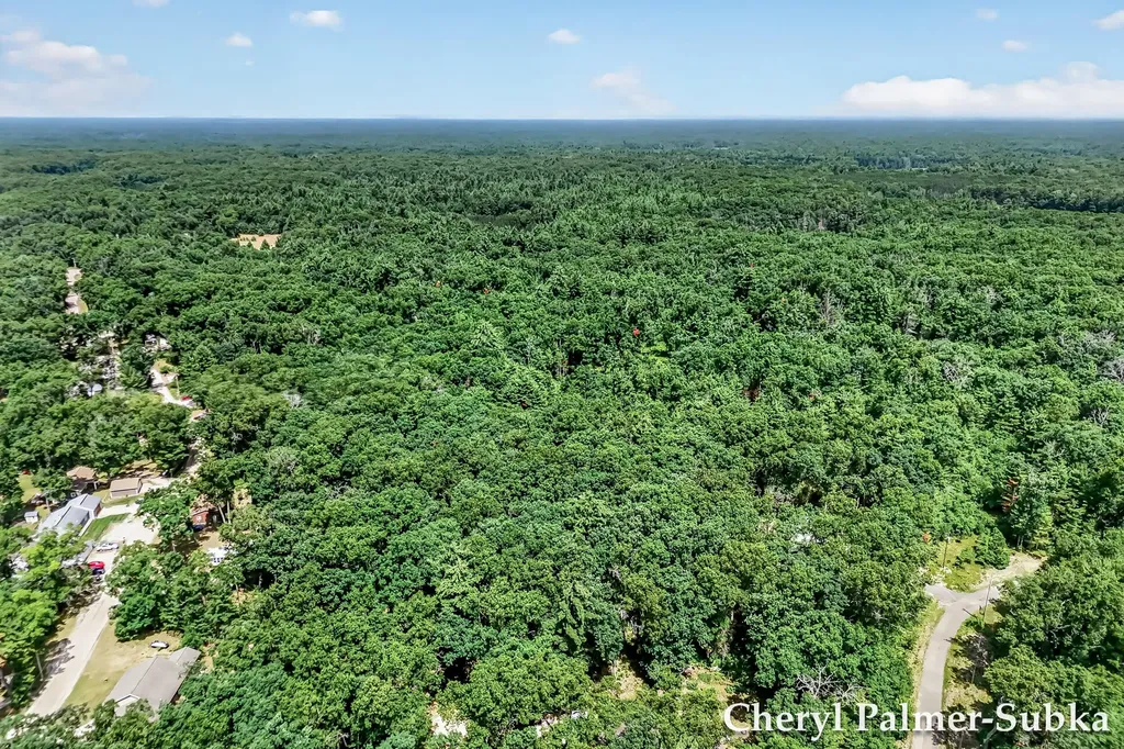 8090 E Lake Road Holton Township MI 49457