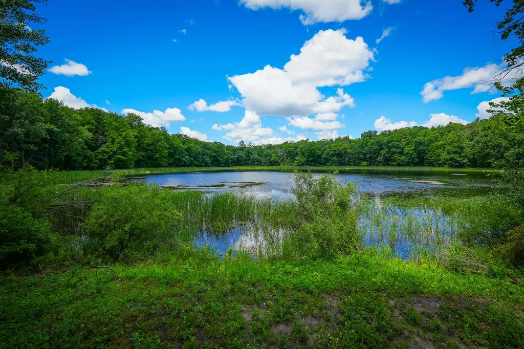 9339 Maple Hill Road Reynolds Township MI 49329