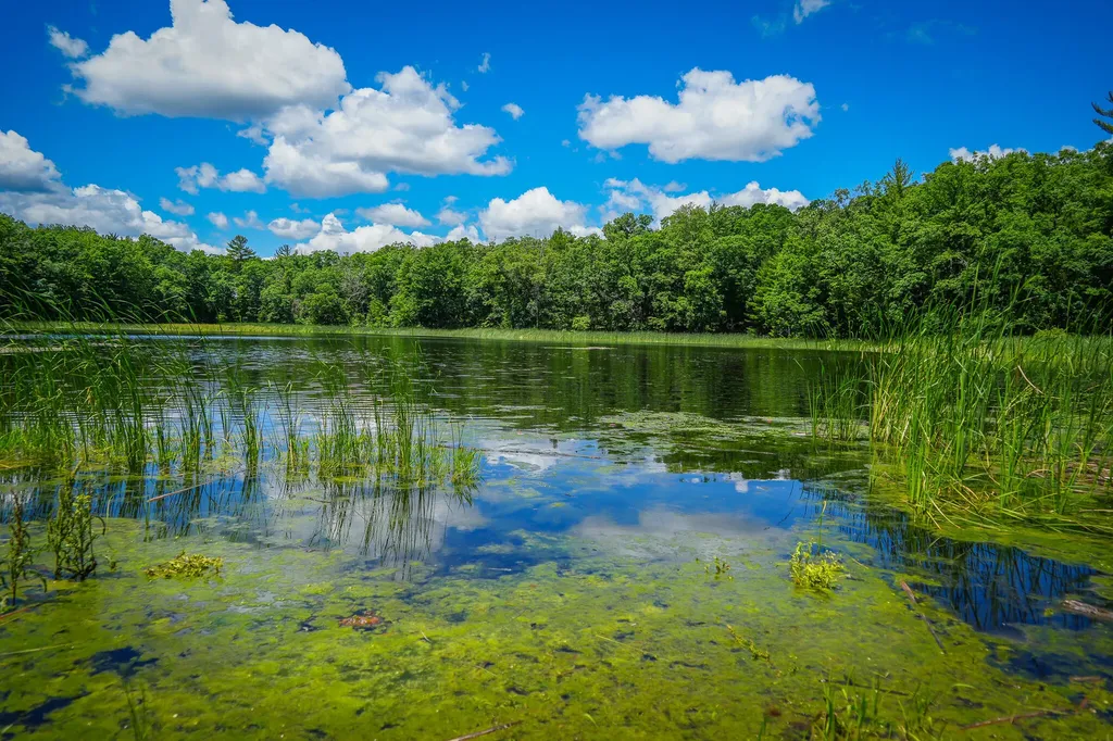 9339 Maple Hill Road Reynolds Township MI 49329