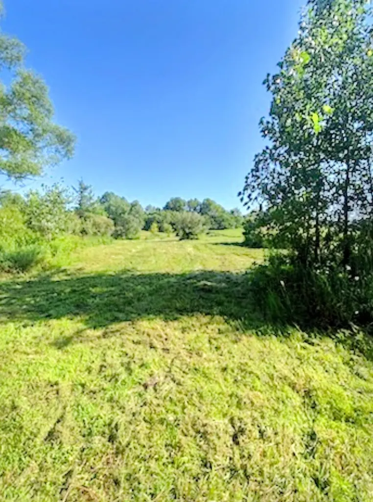 2311 E Glendora Road Buchanan Township MI 49107